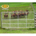 Australia steel pipe animal livestock cattle farm gate